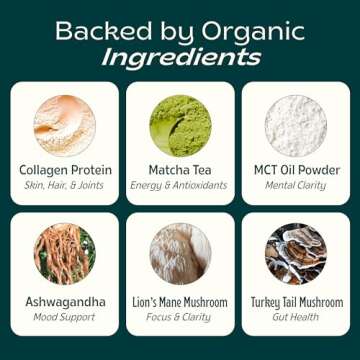 JIBBY Mushroom Matcha Super Latte - Ceremonial Grade Green Tea Organic Matcha Powder, Collagen, MCT Oil, Superfood Mushrooms, Matcha Latte Collagen Powder, Matcha Powder (Unsweetened, 10 Servings)