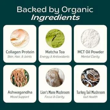 JIBBY Mushroom Matcha Super Latte - Ceremonial Grade Green Tea Organic Matcha Powder, Collagen, MCT Oil, Superfood Mushrooms, Matcha Latte Collagen Powder, Matcha Powder (Unsweetened, 10 Servings)