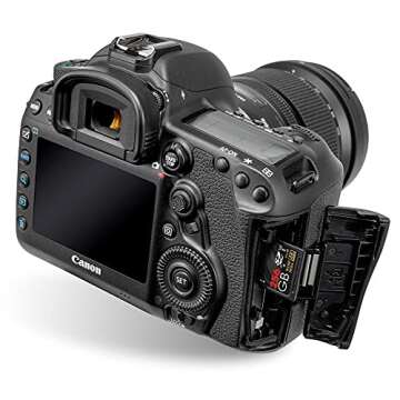 Ritz Gear 256GB High-Speed SDXC UHS-I SD Card, C10, U3, V30, Full-HD & 4K Memory Card