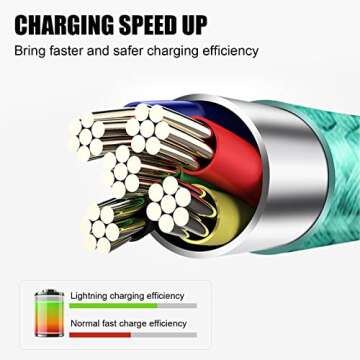 Souina iPhone Charger Cable 5-Pack for Fast Charging