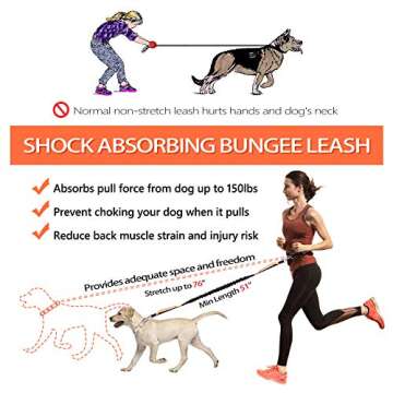 Hands Free Dog Leash for Convenient Walking and Running