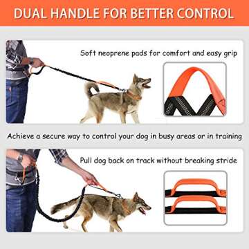 Hands Free Dog Leash for Convenient Walking and Running