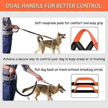 Hands Free Dog Leash for Convenient Walking and Running