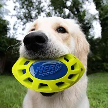 Nerf Dog Crunch Football - 6in Durable Squeaky Toy