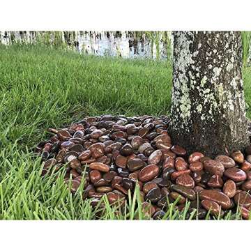 Margo 3-5" Rain Forest Rosa Natural Pebbles 20lbs