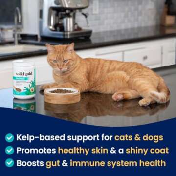 Solid Gold Dog & Cat Vitamin Supplements - Kelp Powder, Omega 3, Vitamins, Digestive Enzymes, Immune Support - 1 LB