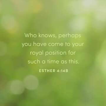 Esther - Leader Guide: It's Tough Being a Woman