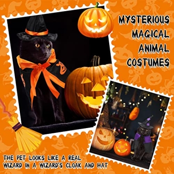 Stylish Halloween Wizard Pet Costume for Kittens and Puppies