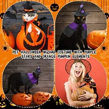 Stylish Halloween Wizard Pet Costume for Kittens and Puppies
