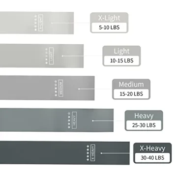 LDJRCP Resistance Bands Set for Home Fitness and Travel