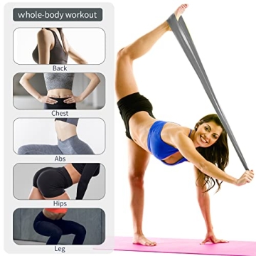 LDJRCP Resistance Bands Set for Home Fitness and Travel