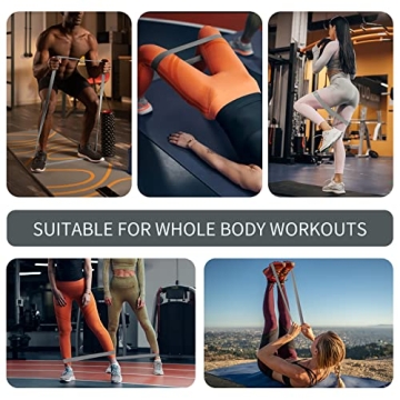 LDJRCP Resistance Bands Set for Home Fitness and Travel