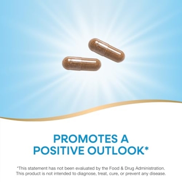 Nature's Way St. John's Wort Herb for Positive Outlook