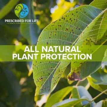 Premium Potassium Bicarbonate Powder for Baking & Gardening