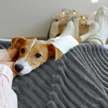 INFIIXSO Sherpa Throw Blanket for Couch - Super Soft & Warm Striped Fleece Blanket, Cozy Plush Fluffy Blanket All Season Use (Grey, 50x60 Inches)