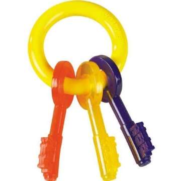 Nylabone Puppy Teething Toy Key Ring Colorful Safe for Puppies Dogs to Chew - Choose Size(Small)