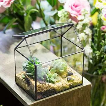 NCYP Small 6.1" x 6.3" x 4.33" Glass Terrarium Box with Lid for Succulent, Air Plants - House Shape ...
