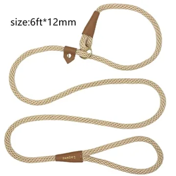 Top Slip Leads for Dogs - Comfortable & Stylish Leash Combo