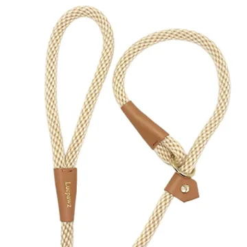 Top Slip Leads for Dogs - Comfortable & Stylish Leash Combo