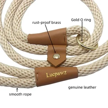 Top Slip Leads for Dogs - Comfortable & Stylish Leash Combo