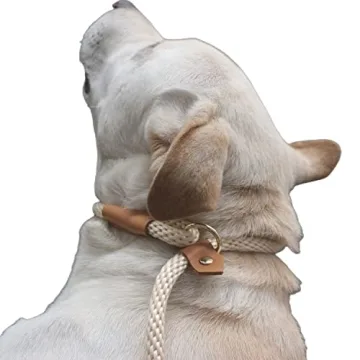 Top Slip Leads for Dogs - Comfortable & Stylish Leash Combo