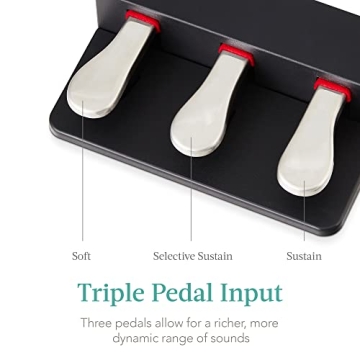 Best Choice 88-Key Weighted Digital Piano Set