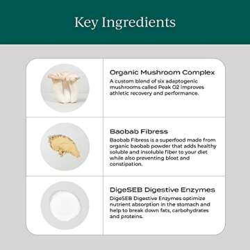 CYMBIOTIKA Plant-Based Protein Powder for Women & Men, Soy & Gluten Free, Low Carb, Vegan, Keto, Plant Protein Drink & Smoothie Mix, for Energy, Recovery & Gut Health, Vanilla, 2 lb Bag