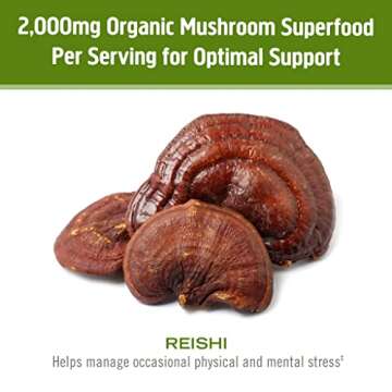 Om Mushroom Superfood Reishi Powder for Immune Support