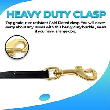 Regal Dog Products 30' feet Black Waterproof Long Dog Leash | Vinyl-Coated Webbing Waterproof Long Leash for Dog Training and Outdoor Activities | Dog Training Leash for Small, Medium & Large Dogs