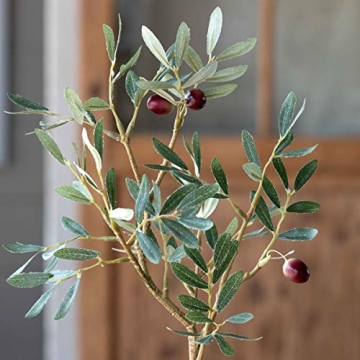 Stunning Park Hill Collection Potted Olive Tree for Stylish Decor