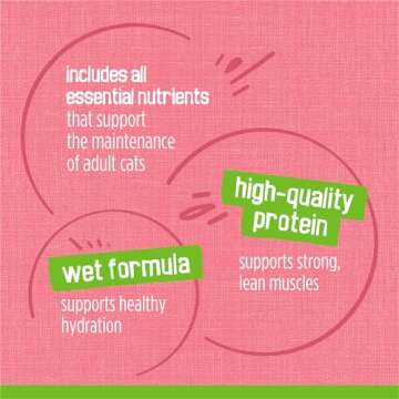 Purina Friskies Wet Cat Food Pate, Pate Salmon Dinner - (Pack of 24) 5.5 oz. Cans