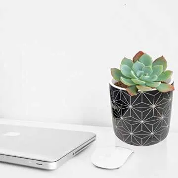 Stylish Bohemian Succulent Planters with Bamboo Trays