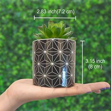 Succulent Pots Small Succulent Planters Bohemian Ceramic Flower Pot Garden Planters Cactus Plant Pot with Drain Hole & Bamboo Saucers Trays for Office Home Decoration Mandalas Flower Pot (Argyle A)