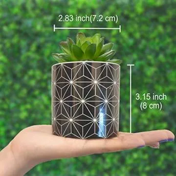 Stylish Bohemian Succulent Planters with Bamboo Trays