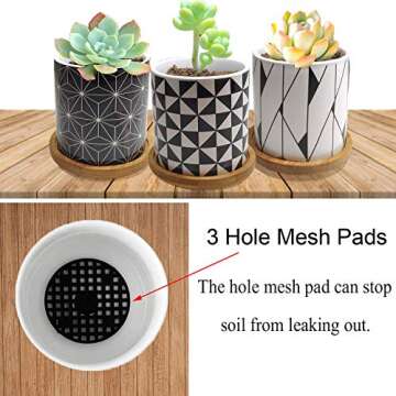 Succulent Pots Small Succulent Planters Bohemian Ceramic Flower Pot Garden Planters Cactus Plant Pot with Drain Hole & Bamboo Saucers Trays for Office Home Decoration Mandalas Flower Pot (Argyle A)