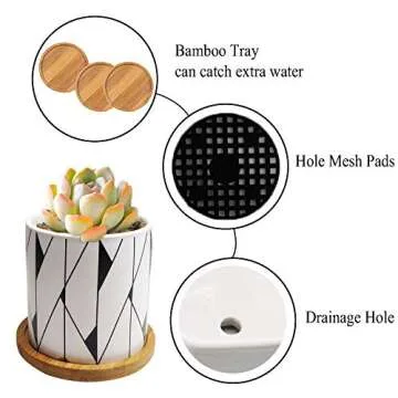 Stylish Bohemian Succulent Planters with Bamboo Trays