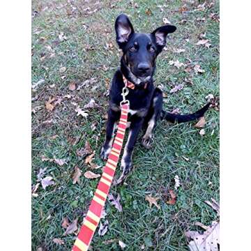 Coomour 2PCS Halloween Dog Collar Pet Cat Puppy Wizard School Printing Adjustable Collars with Funny Leash for Pets Dogs Cats Small Medium Large (Small)