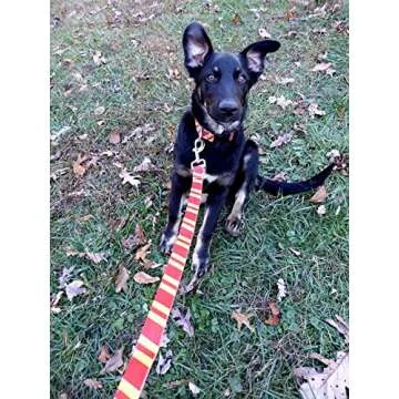 Coomour 2PCS Halloween Dog Collar Pet Cat Puppy Wizard School Printing Adjustable Collars with Funny Leash for Pets Dogs Cats Small Medium Large (Small)