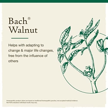 Transform with BACH WALNUT Tincture 20 ML - Alcohol Free