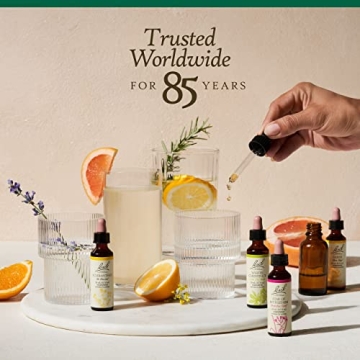 Transform with BACH WALNUT Tincture 20 ML - Alcohol Free