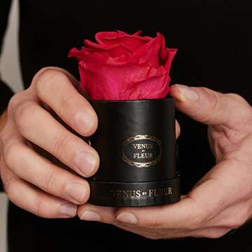 Venus et Fleur Le Mini Round Single - The Original Preserved Rose in a Box - Real Roses That Last a Year - White Gift Box, White Rose