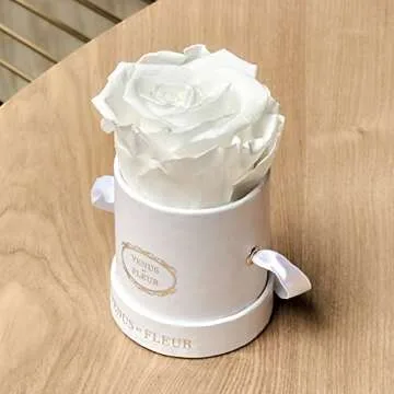 Venus et Fleur Le Mini Round Single - The Original Preserved Rose in a Box - Real Roses That Last a Year - White Gift Box, White Rose