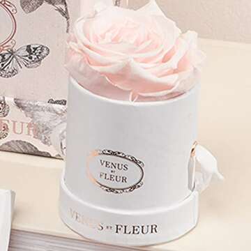 Venus et Fleur Le Mini Round Single - The Original Preserved Rose in a Box - Real Roses That Last a Year - White Gift Box, White Rose