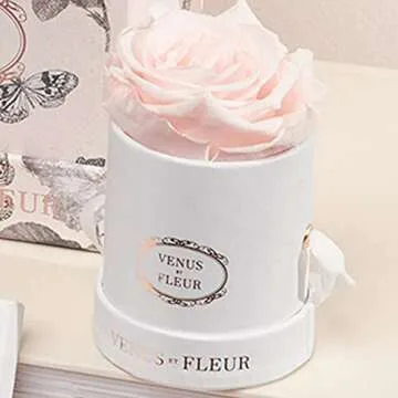 Venus et Fleur Le Mini Round Single - The Original Preserved Rose in a Box - Real Roses That Last a Year - White Gift Box, White Rose