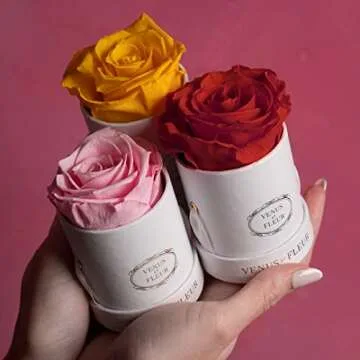 Venus et Fleur Le Mini Round Single - The Original Preserved Rose in a Box - Real Roses That Last a Year - White Gift Box, White Rose