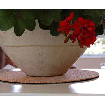 Plastec ECRO6 Eco Cork Mat, 6-Inch (Pack of 4)