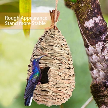Eco-Friendly Hummingbird Houses, Perfect for Outdoor Use