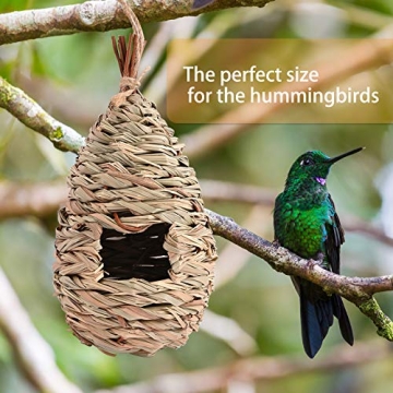 Eco-Friendly Hummingbird Houses, Perfect for Outdoor Use