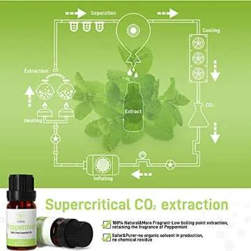 ASAKUKI Infinite Peppermint Oil Essential Oil, Natural Oils for Diffuser for Home-10ml