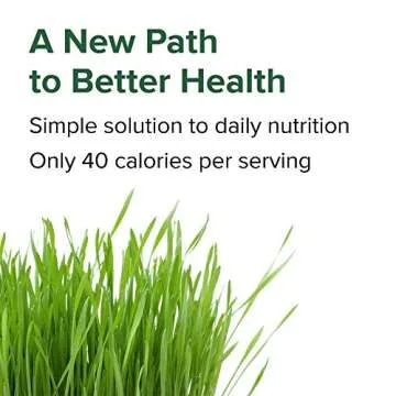 Vibrant Health, Green Vibrance, Vegan Superfood Pills, 240 Capsules (FFP)